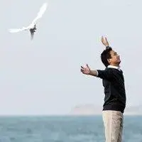 45va@Kyson